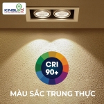 Đèn led hộp âm trần rọi Topaz 2*10W GL-2*10SS-V227-V/TT/T Kingled